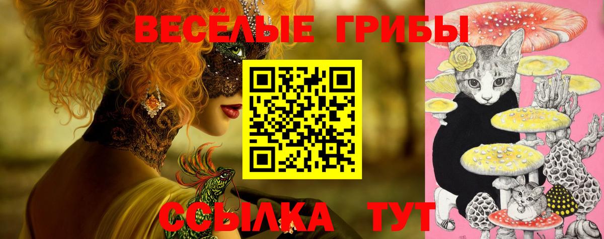 Псилоцибиновые грибы Psilocybe Бор